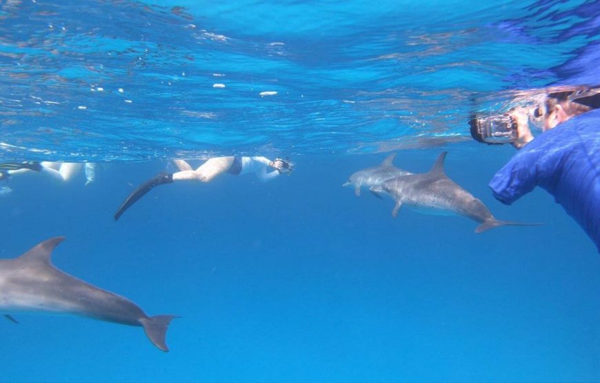 photo_2025-03-19_23-29-03-870x555