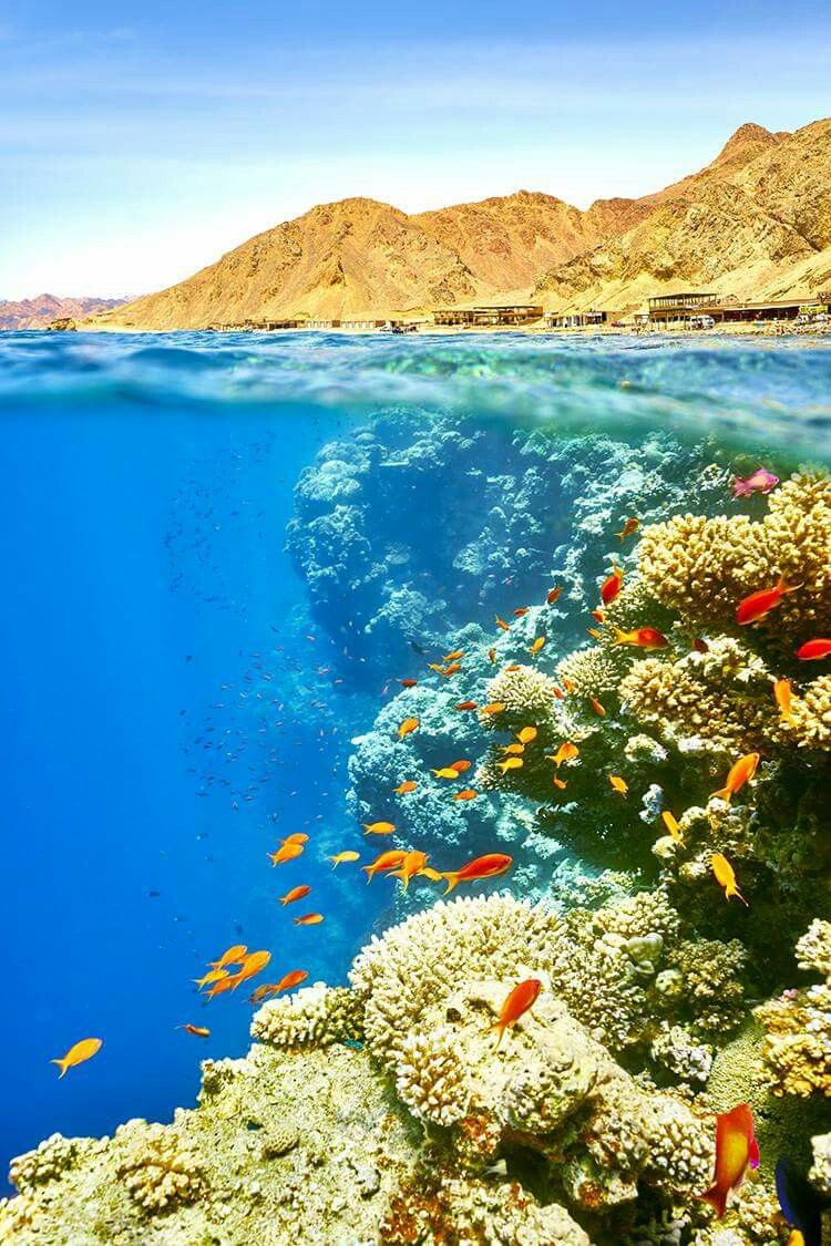 Marsa Alam