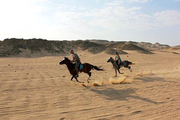 Horse Riding Hurghada 1:30 Hours