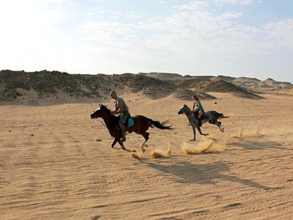 Horse Riding Hurghada 1:30 Hours Copy