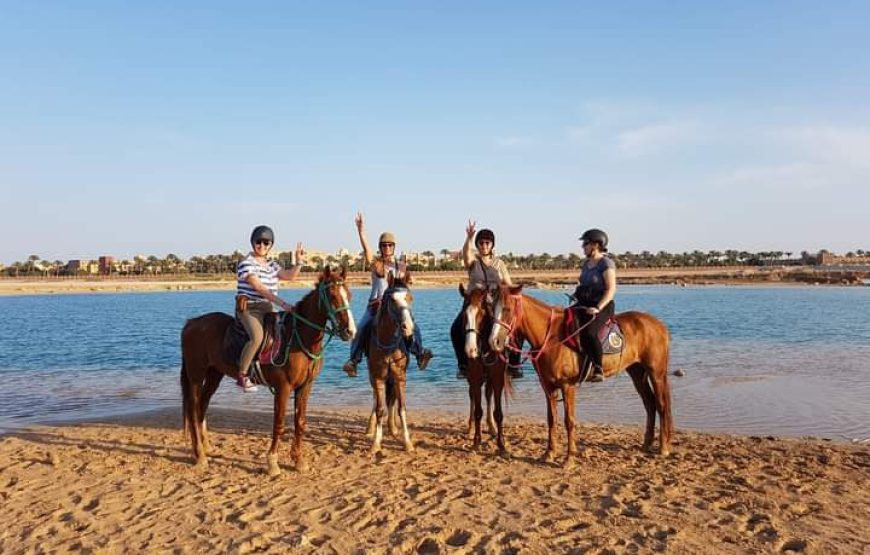 WhatsApp-Image-2023-12-10-at-21.01.13_563b232b-870x555